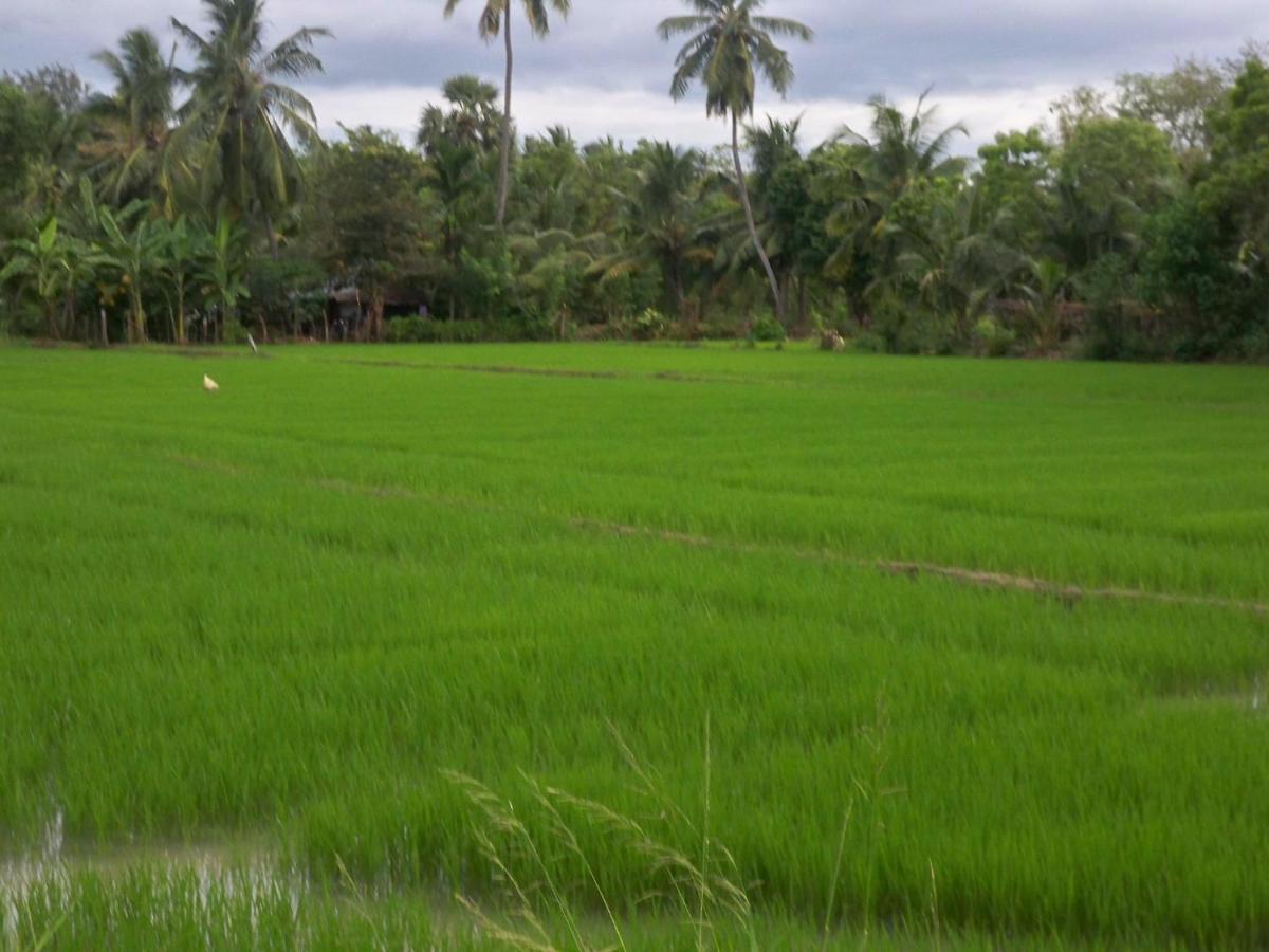 تيساماهاراما The Green View Yala المظهر الخارجي الصورة